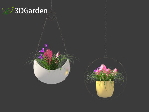 Tillandsia Cyanea - Pink quill 02 3D-Modell