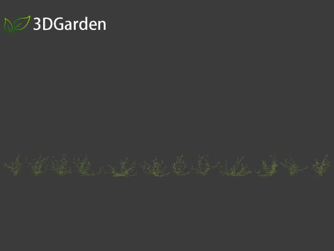 Vicia sepium - veccia cespugliosa Modello 3D