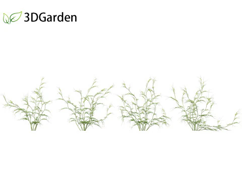 Vicia sepium - veccia cespugliosa Modello 3D