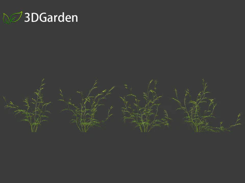 Vicia sepium - veccia cespugliosa Modello 3D