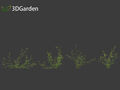 Vicia sepium - bush vetch Modèle 3D