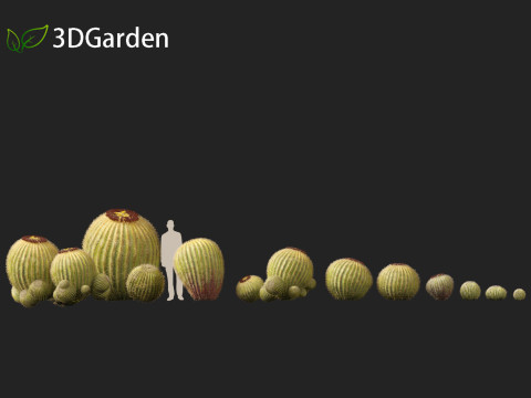 Echinocactus grusonii Golden Barrell Cactus HighPoly And LowPoly Included 3D Модель