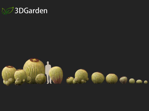Echinocactus grusonii Golden Barrel Cactus High Poly und Low Poly enthalten 3D Modell