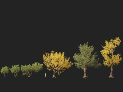 HighPolyLowPoly Populus fremontii - Fremont cottonwood 3Dモデル