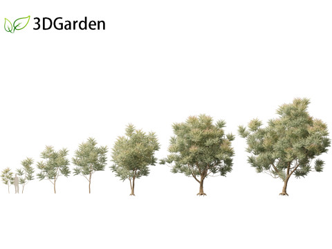 HighpolyLow Poly Azadirachta Indica Neem Tree 3Dモデル