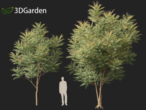 HighpolyLow Poly Azadirachta Indica Neem Tree 3Dモデル