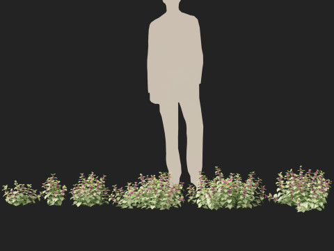HighPolyLowPoly Lamium maculatum - spotted deadnettle 3D Model