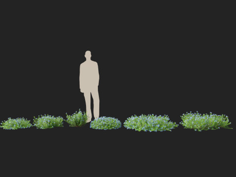 HighpolyLowPoly lithodora diffusa - Gromwell 3D Model