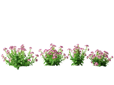 HighpolyLow Poly Teucrium chamaedrys - wall germander 3D मॉडल
