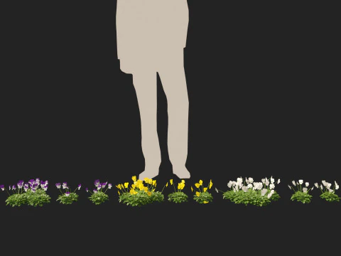 HighpolyLow Poly Viola cornuta - rogaty fiolet Model 3D