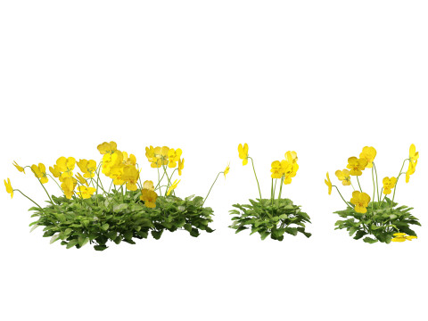 HighpolyLow Poly Viola cornuta - horned violet 3D Model
