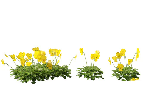 HighpolyLow Poly Viola cornuta - rogaty fiolet Model 3D