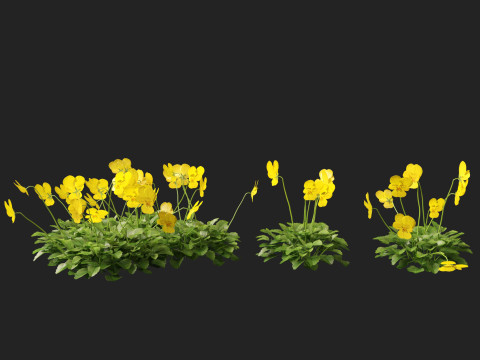 HighpolyLow Poly Viola cornuta - horned violet 3D Model
