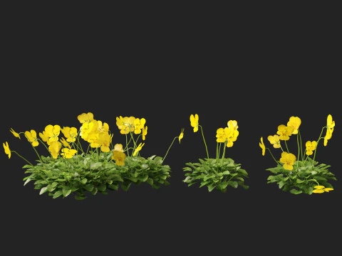 HighpolyLow Poly Viola cornuta - rogaty fiolet Model 3D