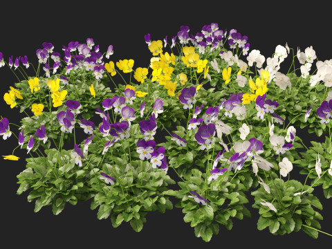 HighpolyLow Poly Viola cornuta - horned violet 3D Model