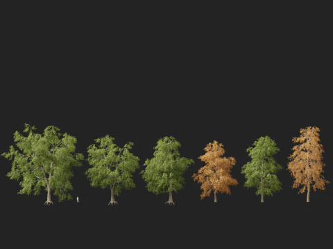 HighpolyLow Poly Carya cordiformis - acı ceviz ceviz 3D Model