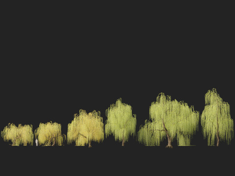 HighpolyLow Poly Salix tristis - Golden weeping willow 3D Model