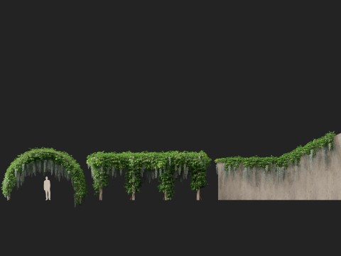 HighpolyLow Poly Strongylodon macrobotrys - jade vine Modello 3D