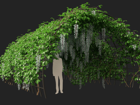 HighpolyLow Poly Strongylodon macrobotrys - jade vine Modello 3D