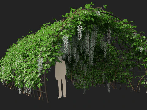 HighpolyLow Poly Strongylodon macrobotrys - jade vine 3D Model
