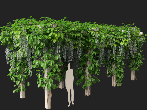 HighpolyLow Poly Strongylodon macrobotrys - jade vine Modello 3D