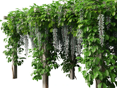 HighpolyLow Poly Strongylodon macrobotrys - jade vine 3D Model