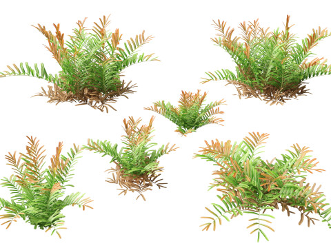 HighpolyLow Poly Acrostichum aureum - Golden leather fern 3D Модель