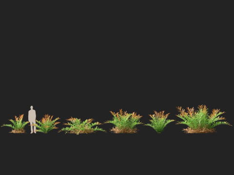 HighpolyLow Poly Acrostichum aureum - Golden leather fern 3Dモデル