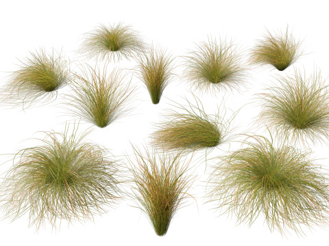 HighpolyLow Poly Carex dipsacea - teasel sedge 3D Модель