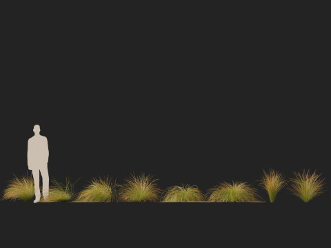 HighpolyLow Poly Carex dipsacea - teasel sedge 3D Model