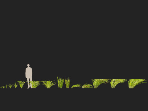HighpolyLow Poly Vallisneria americana - eelgrass 3D Модель
