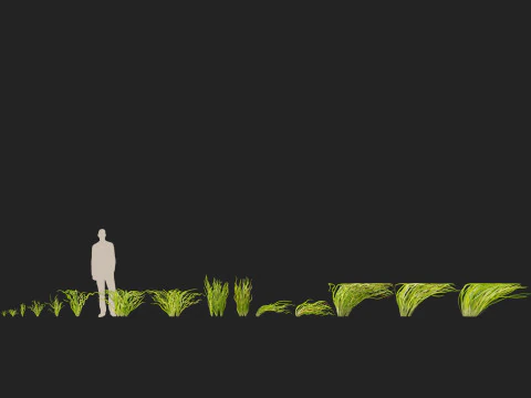 HighpolyLow Poly Vallisneria americana - eelgrass 3D Model
