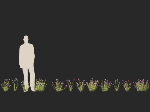 HighpolyLow Poly Mimulus gracilis - slender monkey flower 3D मॉडल