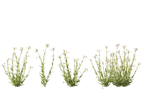 HighpolyLow Poly Mimulus gracilis - slender monkey flower 3D मॉडल