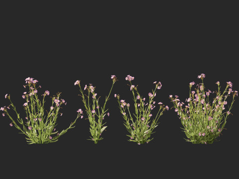 HighpolyLow Poly Mimulus gracilis - slender monkey flower 3D मॉडल