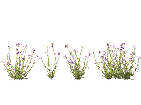 HighpolyLow Poly Mimulus gracilis - slender monkey flower 3D मॉडल