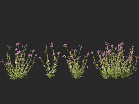 HighpolyLow Poly Mimulus gracilis - slender monkey flower 3D मॉडल