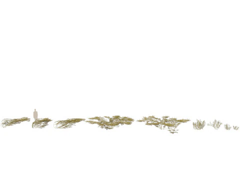 HighpolyLow Poly Potamogeton ochreatus &ndash; stumpfes Laichkraut 3D Modell