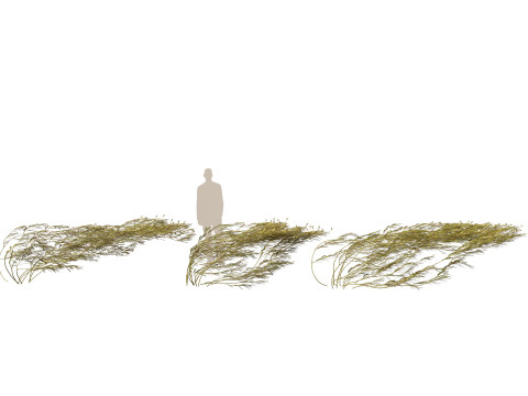 HighpolyLow Poly Potamogeton ochreatus - blunt pondweed Modelo 3D