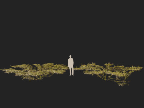 HighpolyLow Poly Potamogeton ochreatus - blunt pondweed Modelo 3D