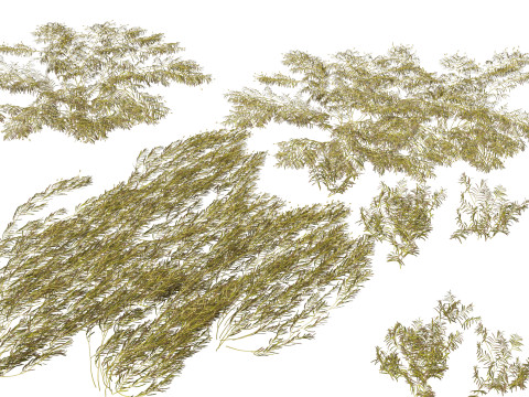 HighpolyLow Poly Potamogeton ochreatus - blunt pondweed Modelo 3D