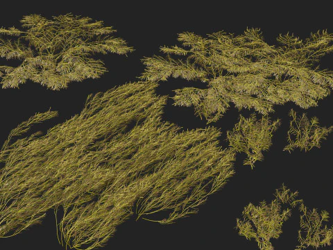 HighpolyLow Poly Potamogeton ochreatus &ndash; stumpfes Laichkraut 3D Modell