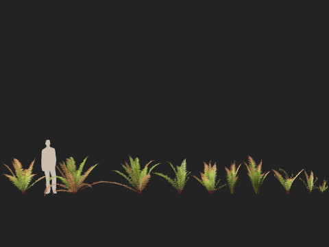 HighpolyLow Poly Telmatoblechnum indicum - Swamp water fern 3D मॉडल