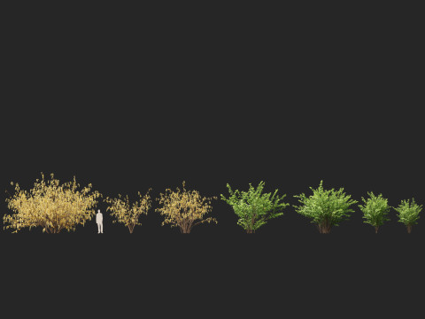 HighpolyLow Poly Corylus avellana Common Hazel 3Dモデル