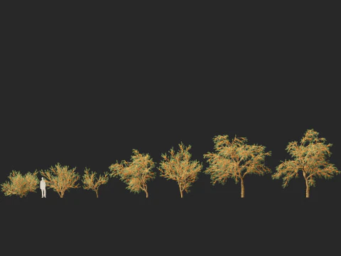 HighpolyLow Poly Hippophae rhamnoides - Sea buckthor 3D Model