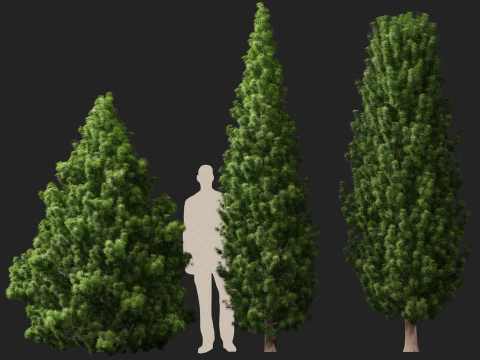 HighPolyLowPoly Juniperus communis - Common Juniper 3D Model