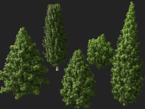 HighPolyLowPoly Juniperus communis - Common Juniper 3D Model