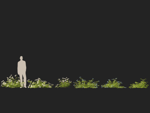 HighpolyLowpoly Rubus Caesius - European Dewberry 3D 모델