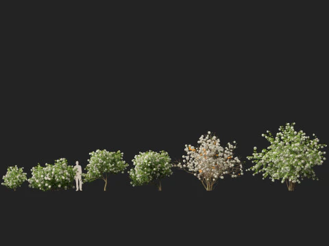 Highpoly Low poly - Viburnum opulus - Guelder Rose 3D Model