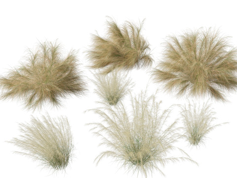 HighpolyLowpoly Austrostipa ramosissima Stout Bamboo Grass 3D Модель